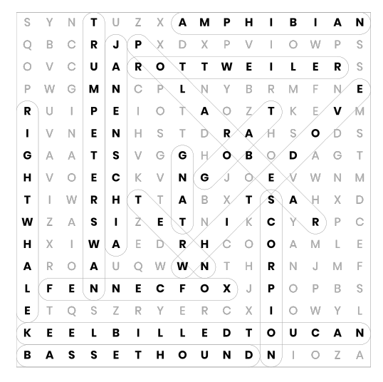 Word Search Puzzle