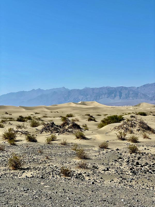 Mesquite Sand Dunes