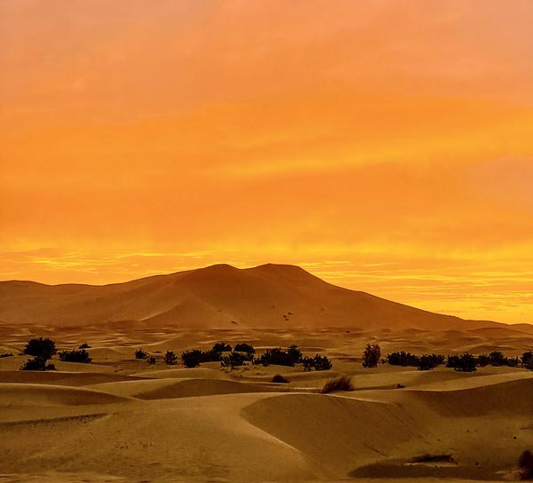 Sahara sunset