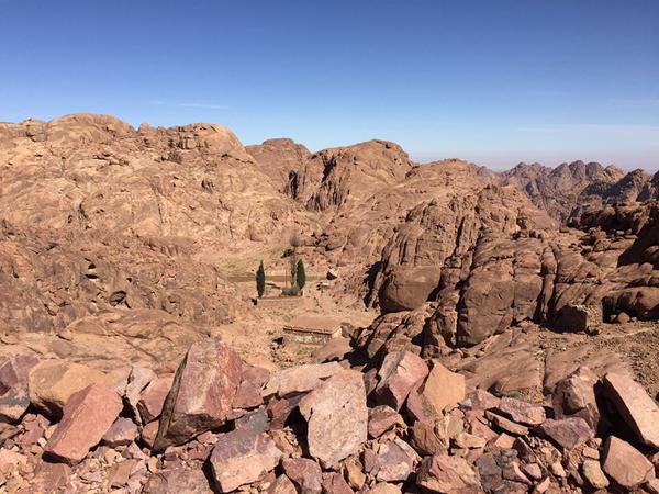 Mt Sinai