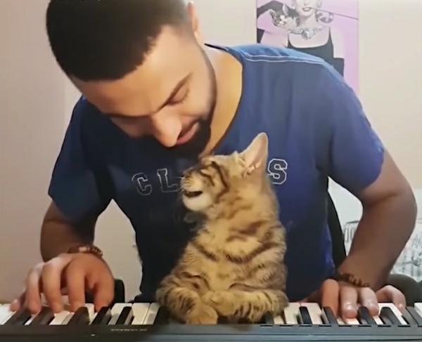 kitty and piano video