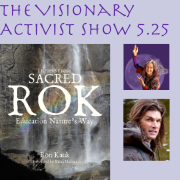 The Visionary Activist Show