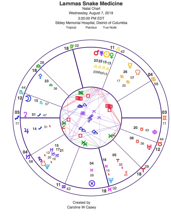 Lamas Chart