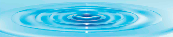 Terry Hodgkinson Chung Fu School of the Way Online Training Portal