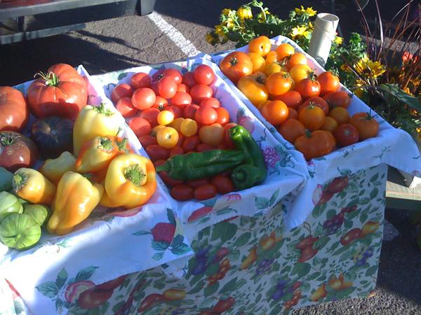 tomatoes at the market