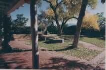 Adobe Inn Back yard with huge trees