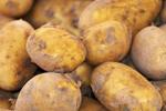 Yukon gold potatoes