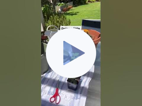 video potting