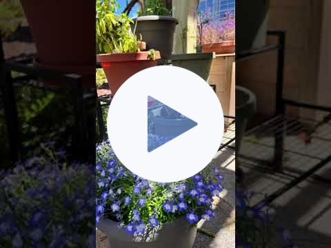 reel in garden