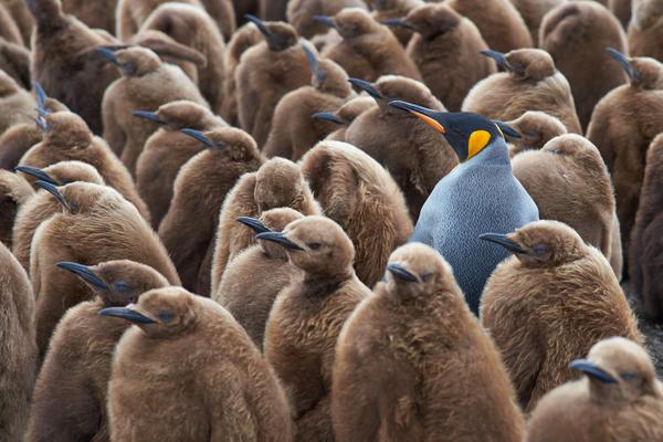 7 Steps To Become Extraordinary