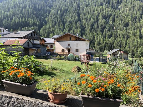 Check Out The Video Tour Of Our Village