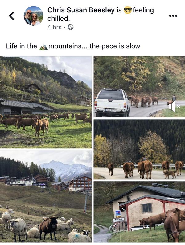 Check Out Life In The Mountains