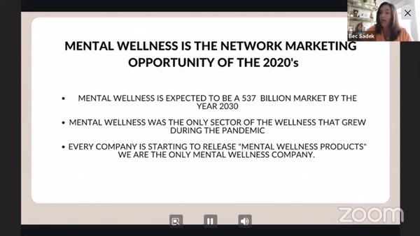 Why Mental Wellness And Why Now