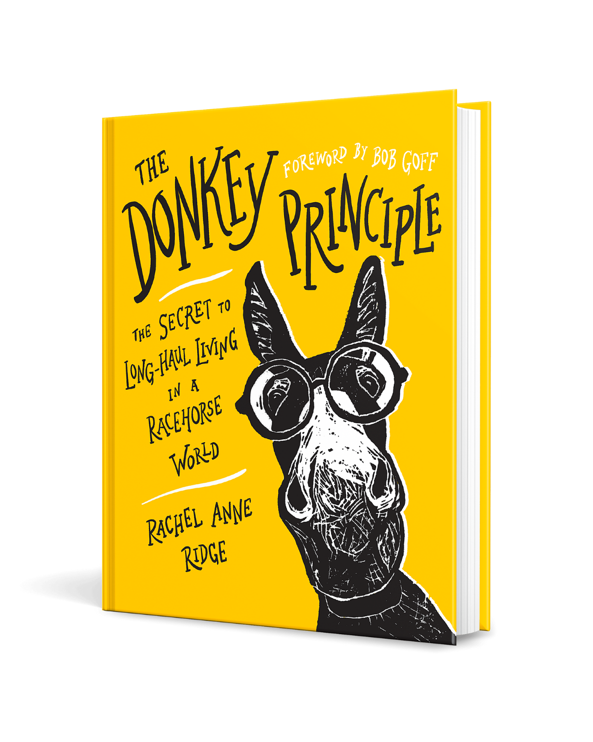 The Donkey Principle Book