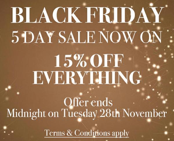 Black Friday Sale