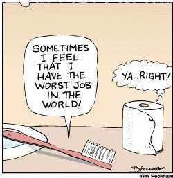 toothbrush and toilet roll