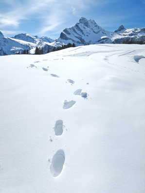 snow steps