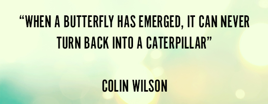 Colin Wilson Quote