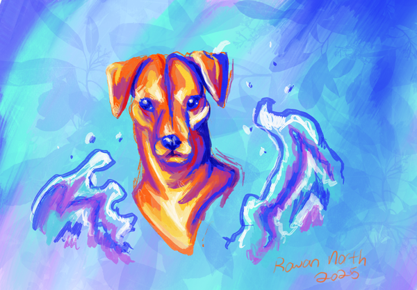 Why Dog has a Cold Nose - Barbados - drawn by Rowan North