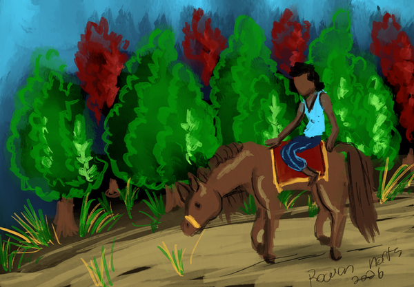 Bouqui's Horse - Haiti - drawn by Rowan North