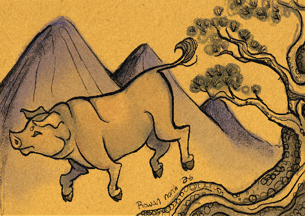 The Man who became a Pig - South Korea - drawn by Rowan North