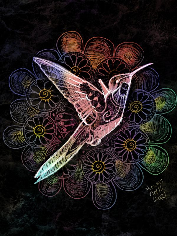 The Legend of the Hummingbird - Paraguay tale - drawn by Rowan North