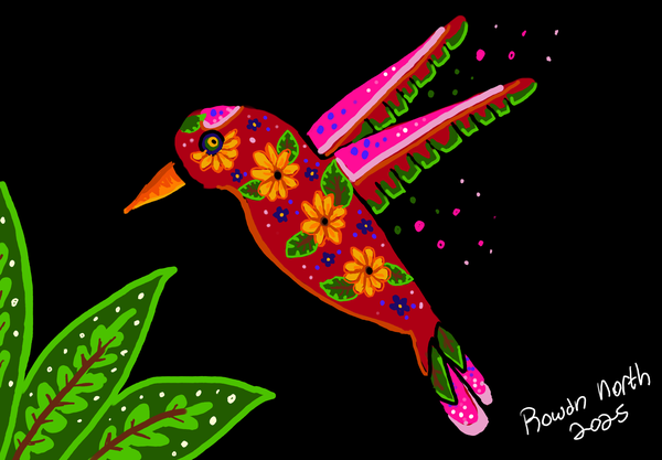 How the Hummingbird Got Its Colors - Belize/Mayan - drawn by Rowan North