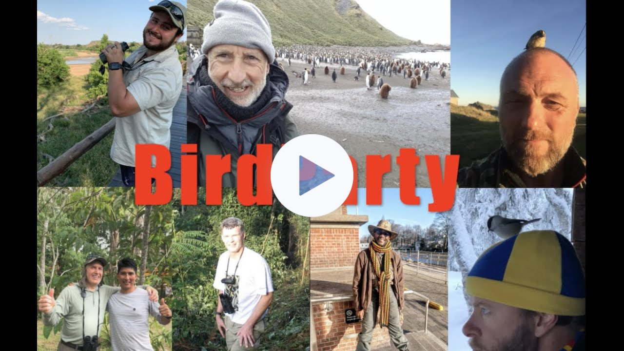 Birdparty - Guran Guran (Gunnar Engblom sings his Birding epos)