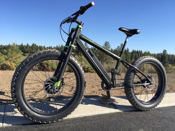 ProdecoTech Rebel X9 electric fat bike