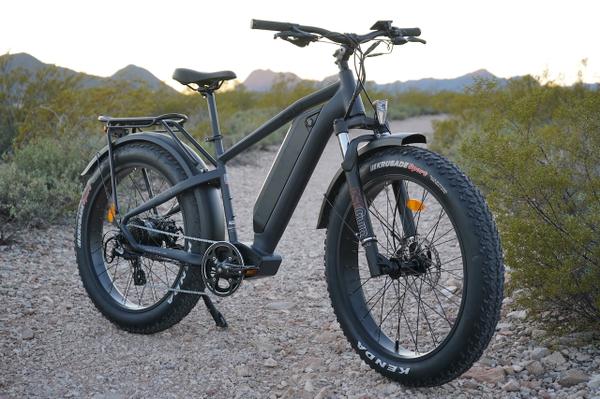 electric bikes