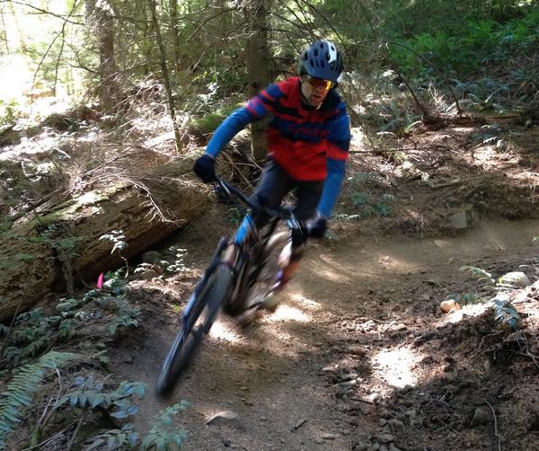 Electric mountain biking