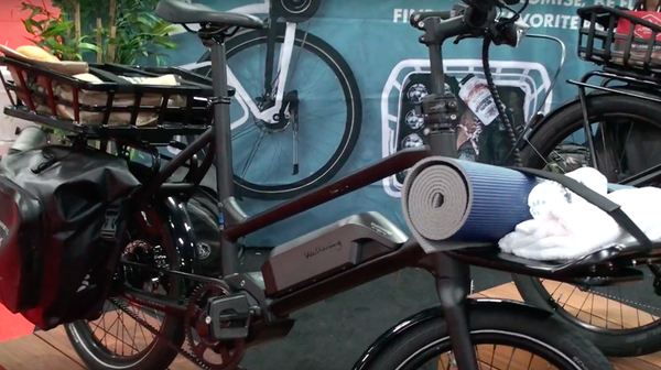 Wallerang electric bike