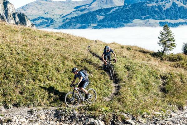 DT Swiss Hybrid electric mountain bike wheels