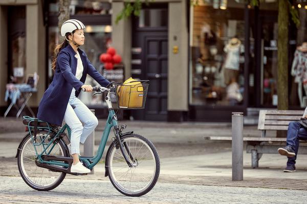 Gazelle electric bike