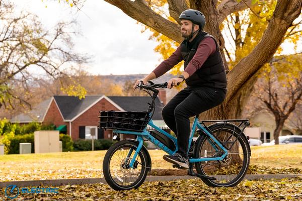 Pedego Avenue E-Bike Review 