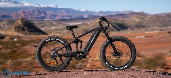 Himiway Cobra Pro Review