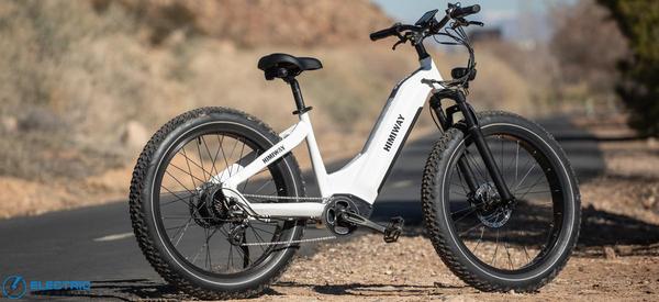 Himiway Zebra Review 2022