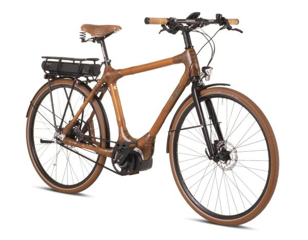 Bamboo eBike