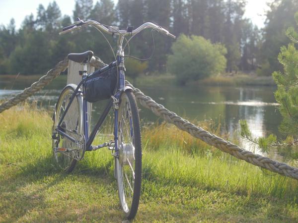 LEED electric bike kit review
