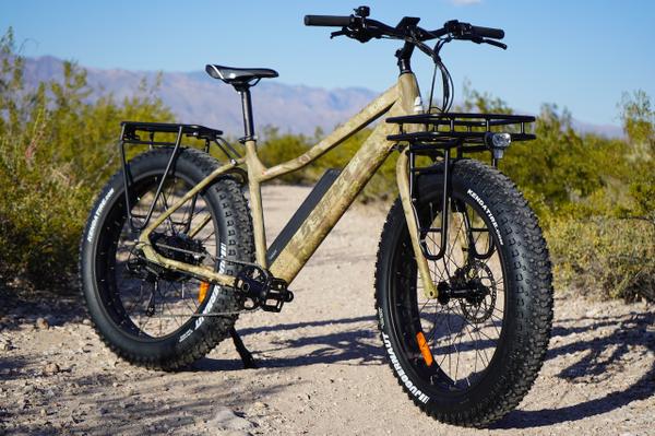 electric bikes