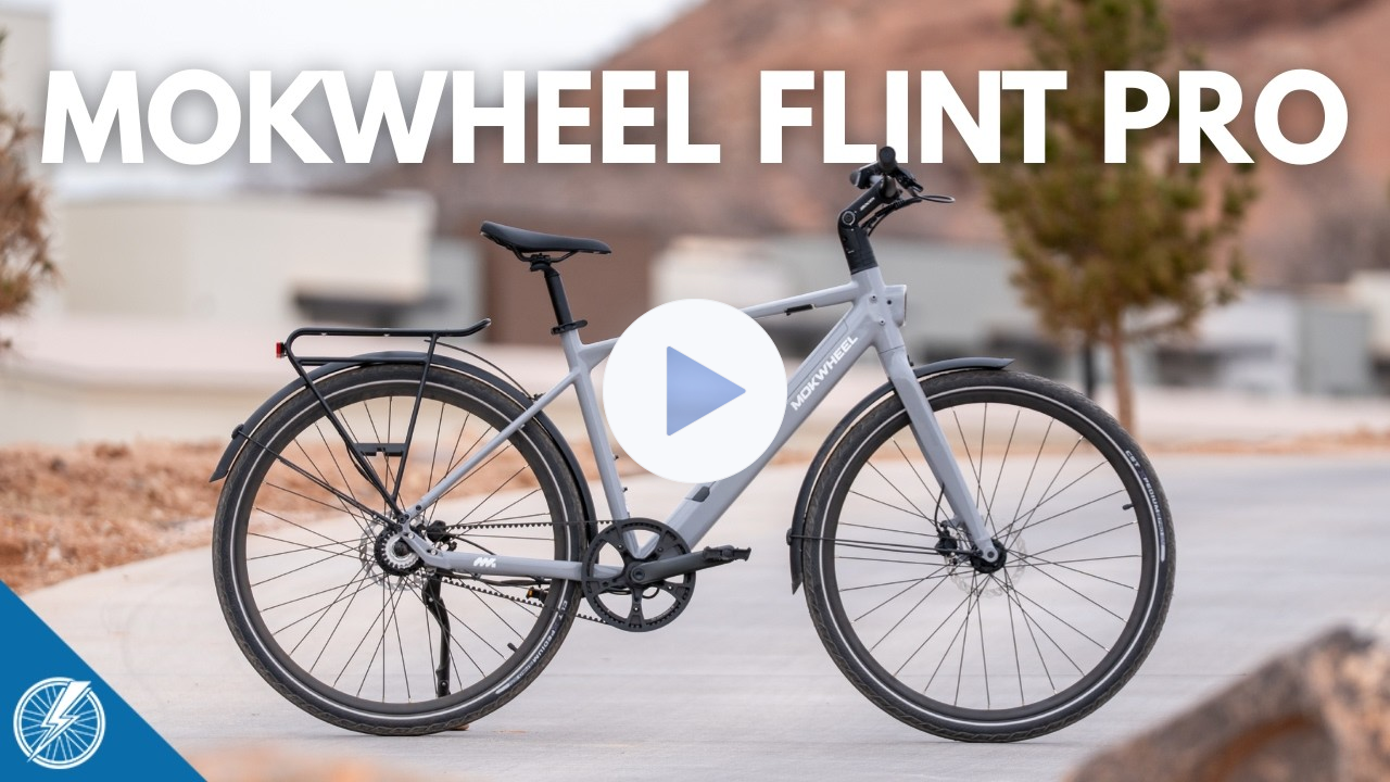 Mokwheel Flint Pro Review | Fitness Whole Bike Into My Life