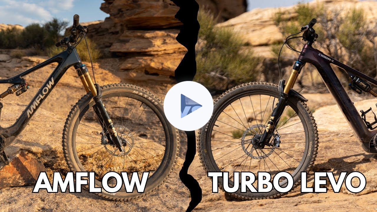 Best 2025 eMTB Showdown? Amflow PL Carbon Pro vs Specialized S-Works Turbo Levo 4