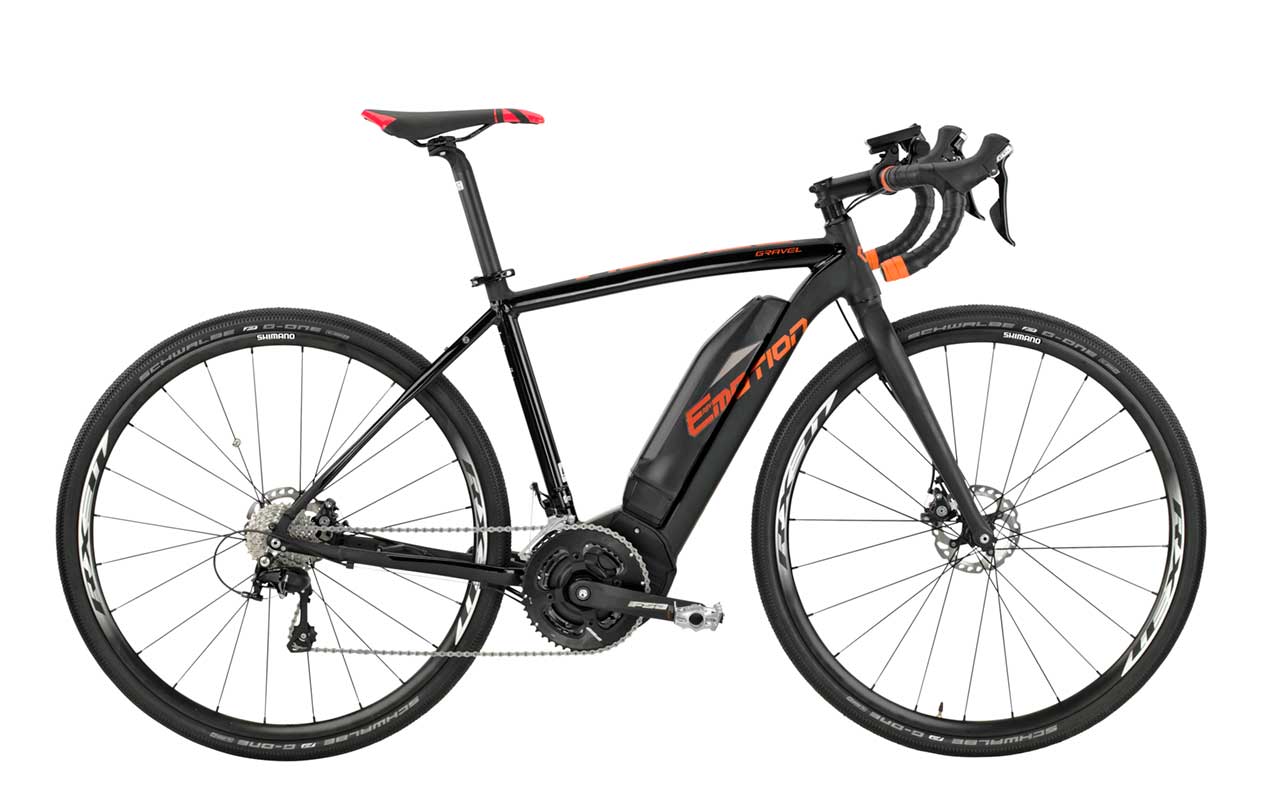 Easy Motion Rebel eBikes