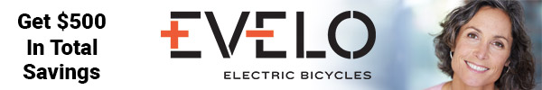 Electric Bike Company
