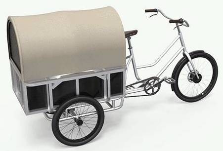 Electric cargo trike