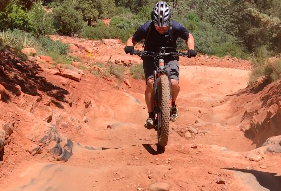 Bosch eMTB Mode