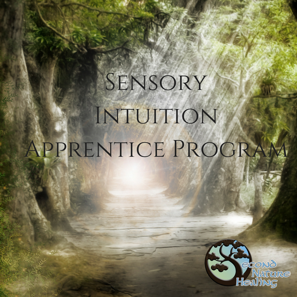 sensory intuition