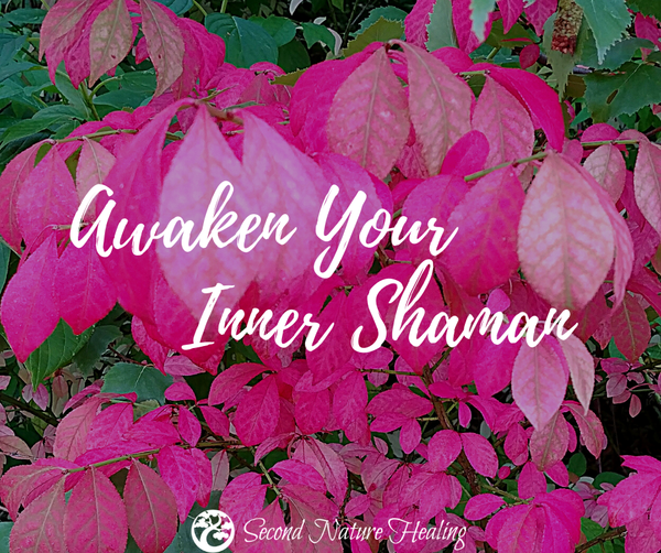 awaken your inner shaman second nature healing