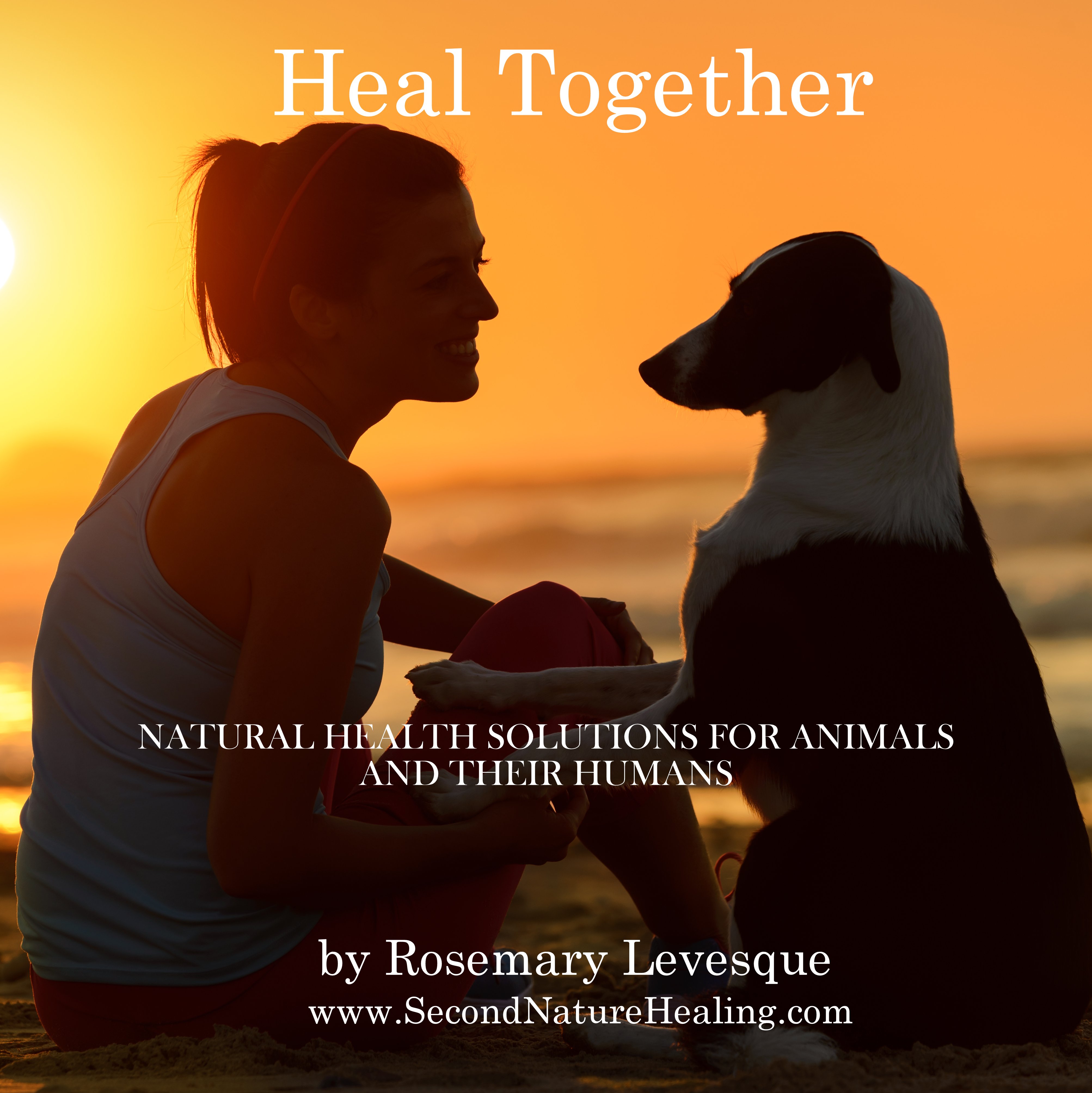Heal Together Book