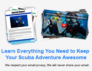 How To Get The Pirates Hat Scuba Diving At Quill Lake Scuba Diving Village - roblox scuba diving at quill lake pirate hat